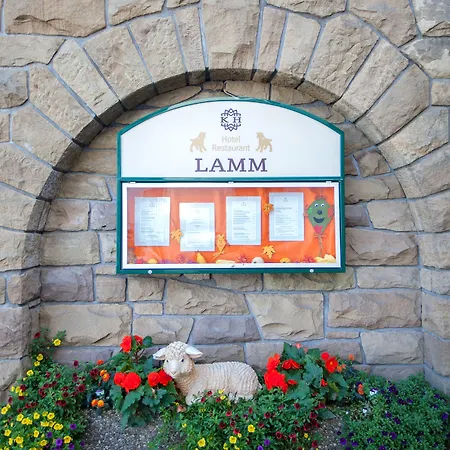 Hotel Lamm 3*