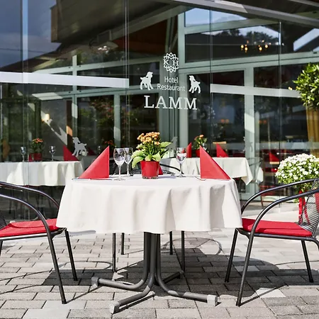 Lamm