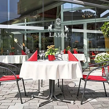 Hotel Lamm 3*