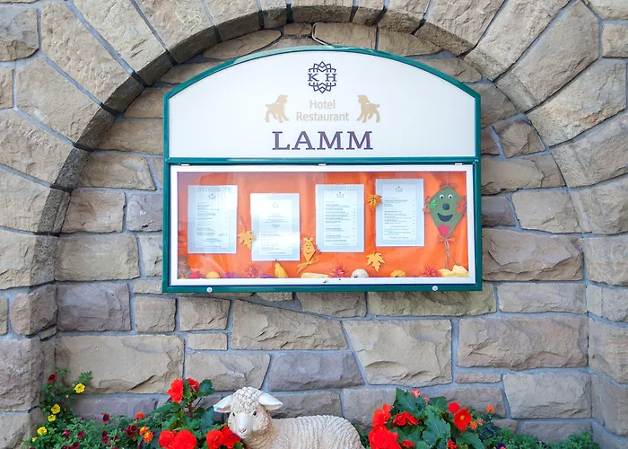 Hotel Lamm 3*